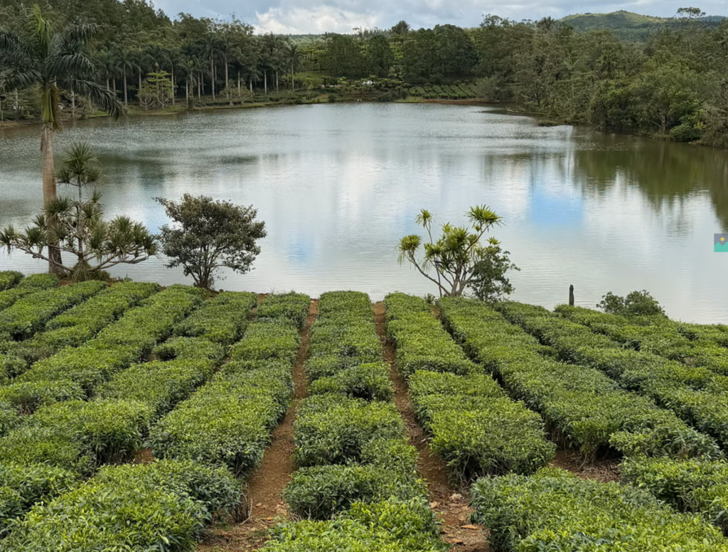 Individuelle Touren auf Mauritius mit Rosario Pierrus
