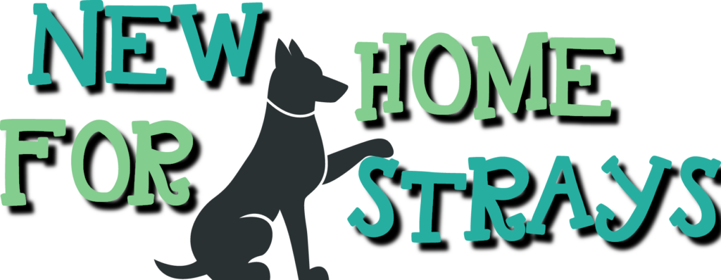 Der Tierschutzverein New Home for Strays e.V.