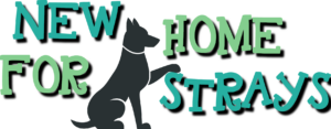 Der Tierschutzverein New Home for Strays e.V.